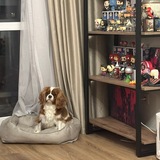 Telegram profile photo for кыквенный магазин
