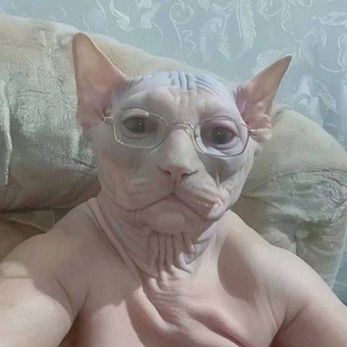 Telegram profile photo for петр