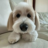 Telegram profile photo for Wally