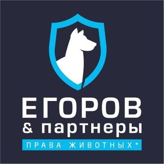 Telegram profile photo for Егоров и партнёры. Защита прав животных🐕🐈🐈🐕🦺🐾
