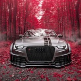 Telegram profile photo for Ауди клуб | Audi club