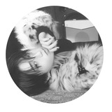 Telegram profile photo for » 𓈒 my big soul