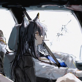 Telegram profile photo for haihin