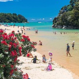 Telegram profile photo for #realNZ Democracy - Telling you what legacy media hides