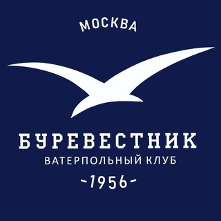 Telegram profile photo for ВК «БУРЕВЕСТНИК» Москва