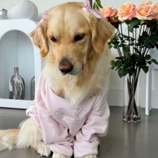 Telegram group profile photo for Pr - chat 🤍 продвижение 💌