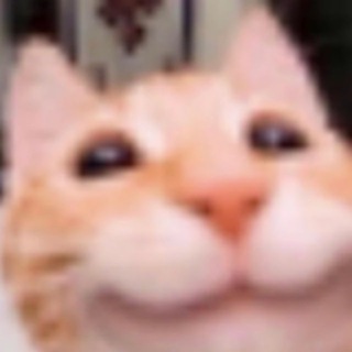 Telegram profile photo for Сьодня день