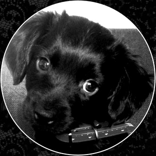 Telegram profile photo for .Пьяные бредни