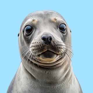 Telegram profile photo for POPPY ON SUI