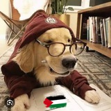 Telegram profile photo for طالب بيطري🐾