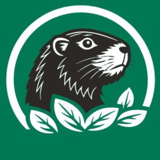 Telegram profile photo for Путь Бобра! Благоустройство участков