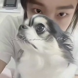 Telegram profile photo for `help cemetry life` закрыто тип