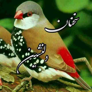 Telegram profile photo for 🌸🍃🦋👈((سخنان دلنشین))👉🍃🦋🌸