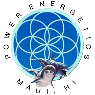 Telegram group profile photo for Power Energetics Chat