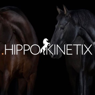 Telegram profile photo for H I P P O K I N E T I Х