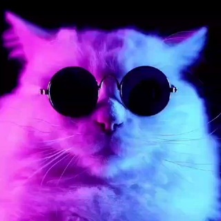 Telegram profile photo for (免费社工库)(免费社工库)