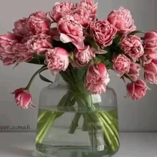 Telegram profile photo for شاعرانههای مهتابی