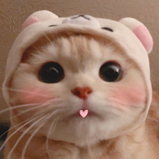 Telegram profile photo for Подсобка звукаря