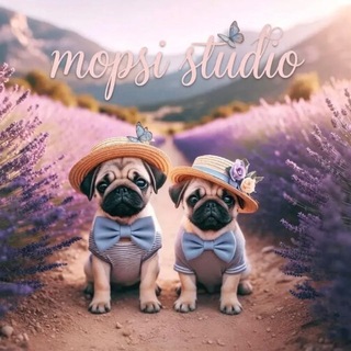 Telegram profile photo for 𝐦𝐨𝐩𝐬𝐢 𝐬𝐭𝐮𝐝𝐢𝐨
