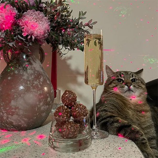 Telegram profile photo for Двигательные Сомелье
