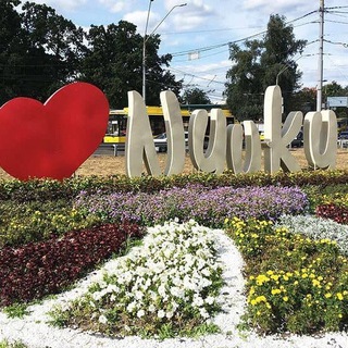 Telegram profile photo for НИВКИ 🌻 Оголошення