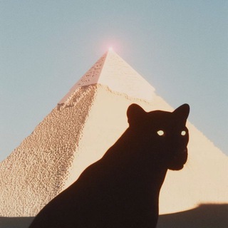Telegram profile photo for Насмотренность и Точка.