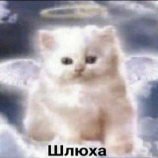 Telegram profile photo for Штирка