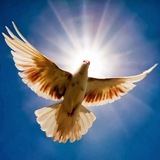 Telegram profile photo for ВЕСТНИК НАДЕЖДЫ (канал)