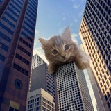 Telegram profile photo for ⲡⲉⲣⲉⲭⲟⲇⲏυⲕ mlorin