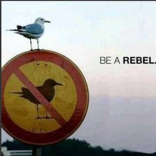 Telegram profile photo for Corona Rebellen Kassel