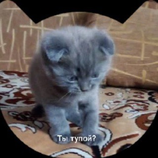 Telegram group profile photo for Хаюхай