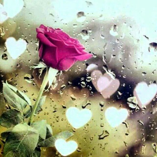 Telegram profile photo for اقتباسات سؤال وجواب ورسائل لـ سلام .🧡