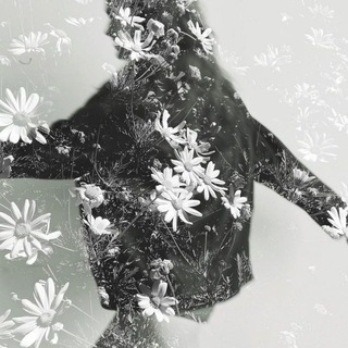 Telegram profile photo for ПЕРЕЕЗД