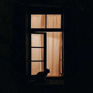 Telegram profile photo for ڕۆشتـووەکەمシ︎