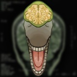 Telegram profile photo for SO-108