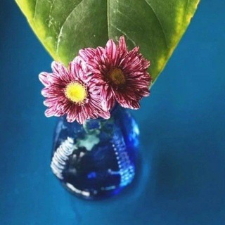 Telegram profile photo for دانستنی های زندگی