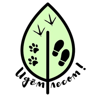 Telegram profile photo for Идём лесом!