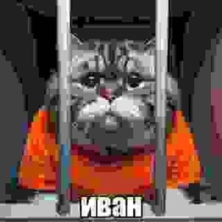 Telegram profile photo for анонимные опросы оп социология