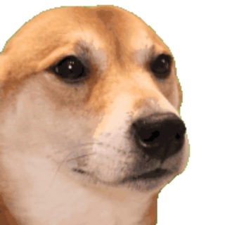 Telegram profile photo for Vibe Dog CTO - Portal