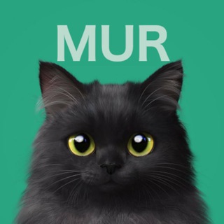 Telegram profile photo for МурЧатЗдесь
