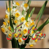 Telegram profile photo for دوིبیــتِ้ی گིــل نؔرگــِ٘س