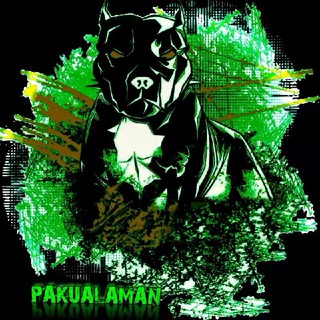 Telegram profile photo for ππ
π.ππππππππππ