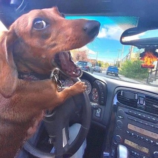 Telegram profile photo for Арбитражники