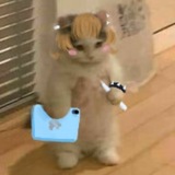 Telegram profile photo for ° Loffy рисулькает °