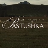 Telegram profile photo for PASTUSHKA
