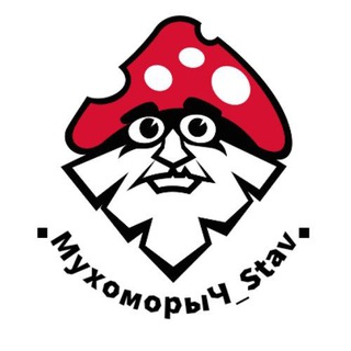 Telegram profile photo for МухоморыЧ Ставрополь 🍄