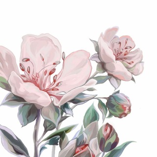 Telegram profile photo for лёна 🍃