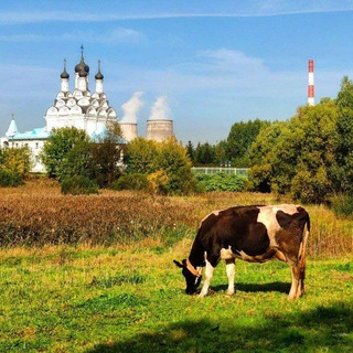 Telegram profile photo for Замкадье | Подмосковье | Мытищи