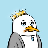 Telegram profile photo for Nax Calls