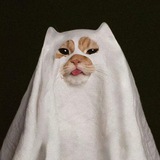Telegram profile photo for минчанка